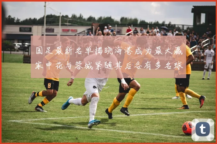国足最新名单揭晓海港成为最大赢家申花与蓉城紧随其后各有多名球员入选