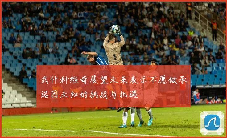 武什科维奇展望未来表示不愿做承诺因未知的挑战与机遇